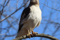 IMG_1628-scaled