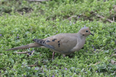 IMG_2068-2-scaled