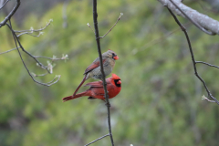 IMG_2747-scaled