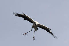 IMG_3902-2-scaled