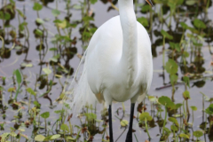 IMG_4058-2-scaled