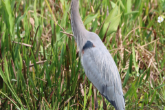 IMG_4065-scaled