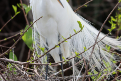 IMG_4140-scaled