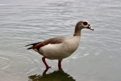 IMG_4788-scaled